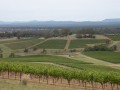 0102-1322 Milfield winery (1060844)